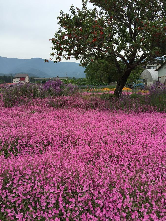 Hotel Minshuku Narao Nagano Exteriér fotografie